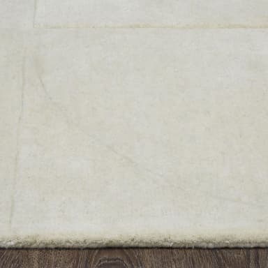 RNAP-10183-810